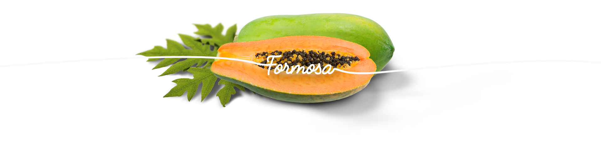 Formosa Papaya