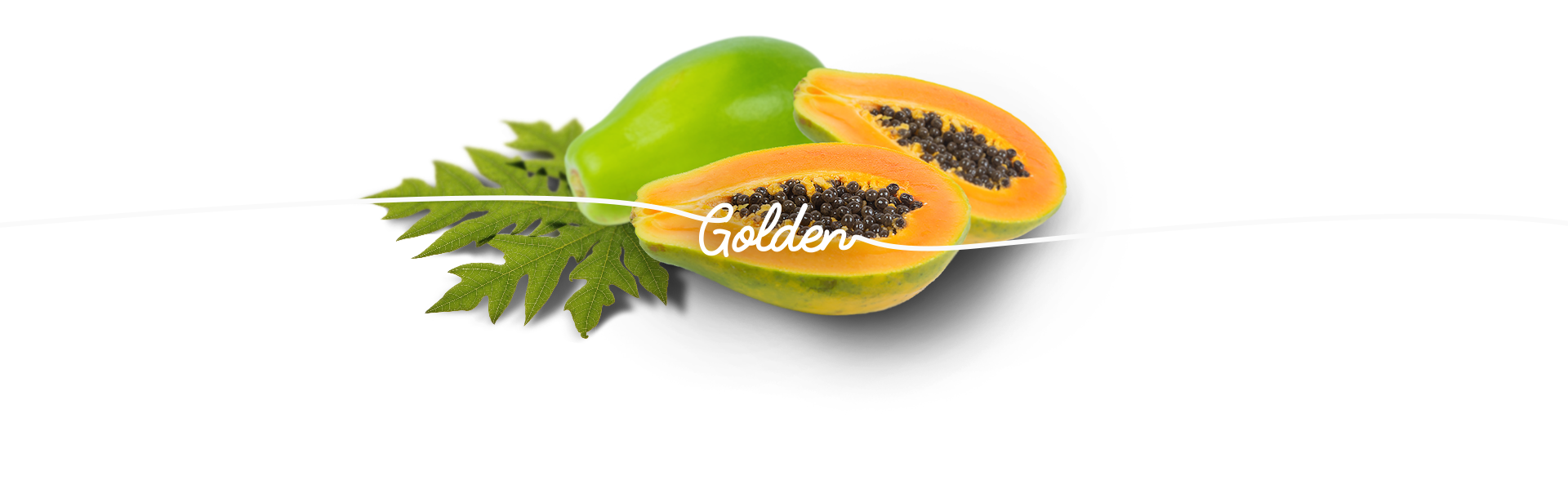 Papaya Golden